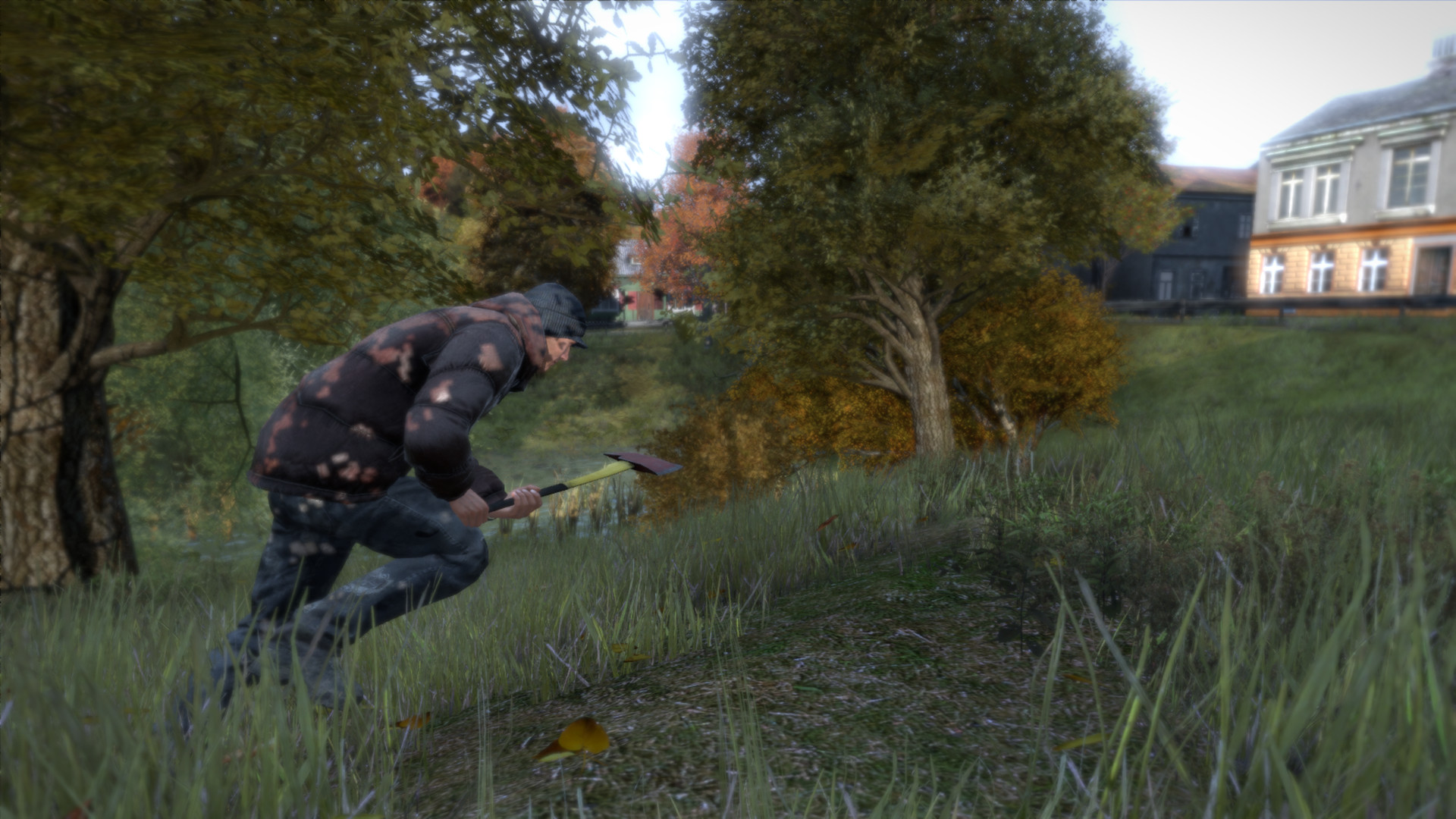 dayz-10