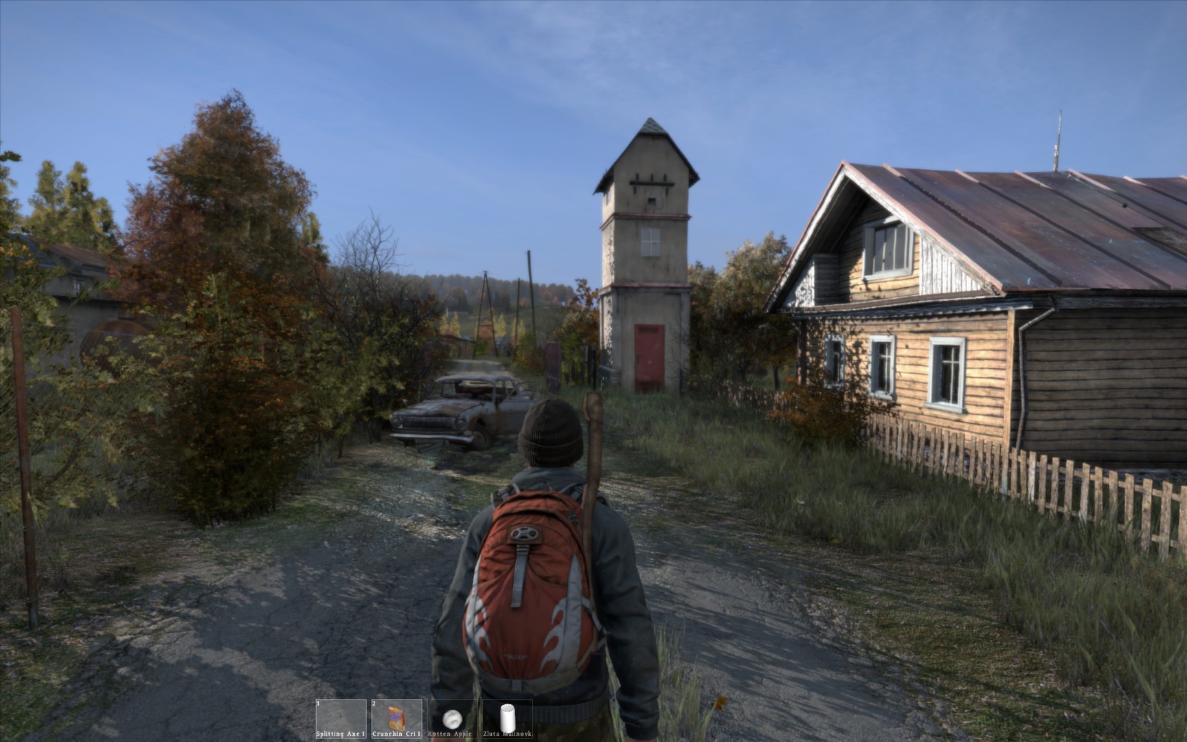 dayz-8