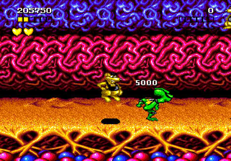 battletoads nes