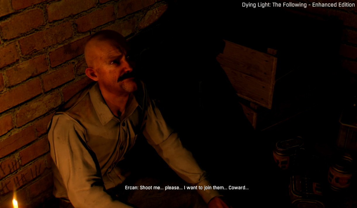 dying-light-the-following-1