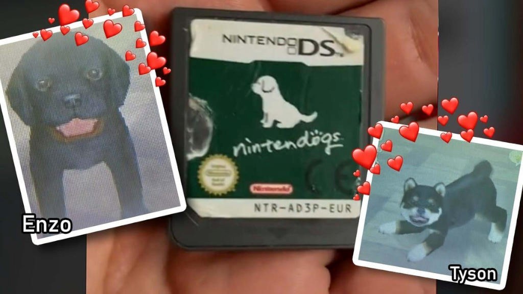 TikToker έγινε viral επειδή βρήκε ένα χαμένο cartridge Nintendogs και "έσωσε" τα σκυλάκια που περιείχε 