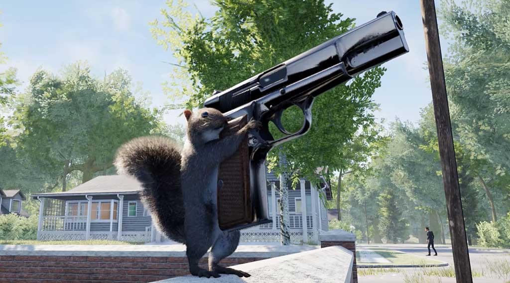 Squirrel With A Gun