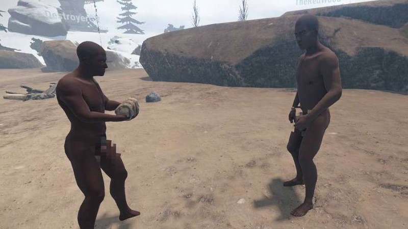 Rust preview