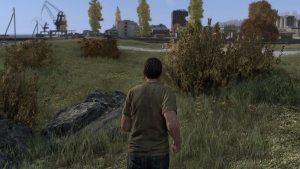 DayZ preview