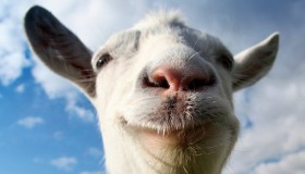 funny-goat