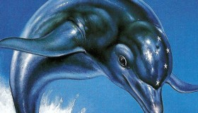 dolphin-quest-amico