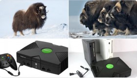 ox-xbox