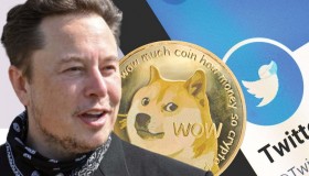 elon-musk-twitter-blue-doge-meme-dogecoin