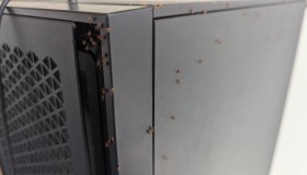 gamer-found-50-100-spiders-on-his-pc